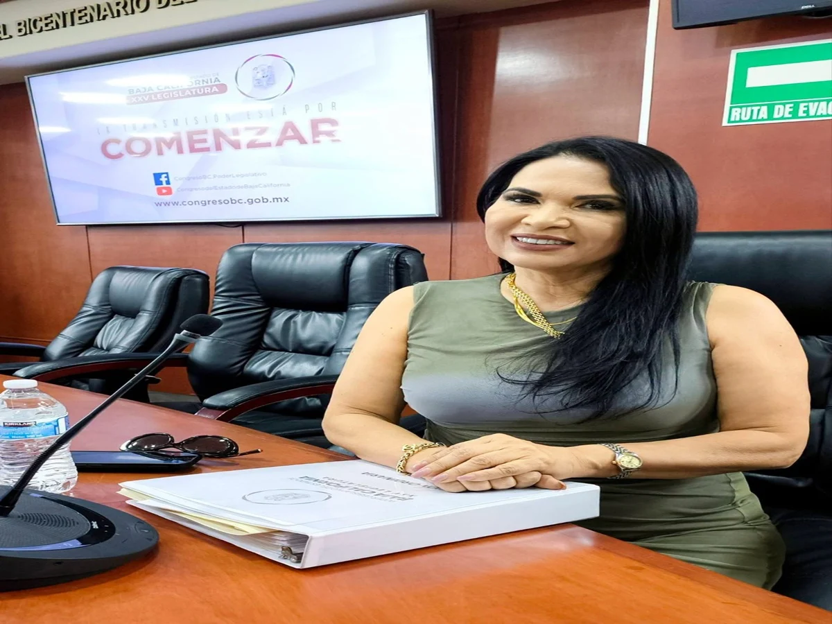 PROPONE DIPUTADA SANTA ALEJANDRINA CORRAL REFORZAR LA PROTECCIÓN DE LA INFRAESTRUCTURA EDUCATIVA