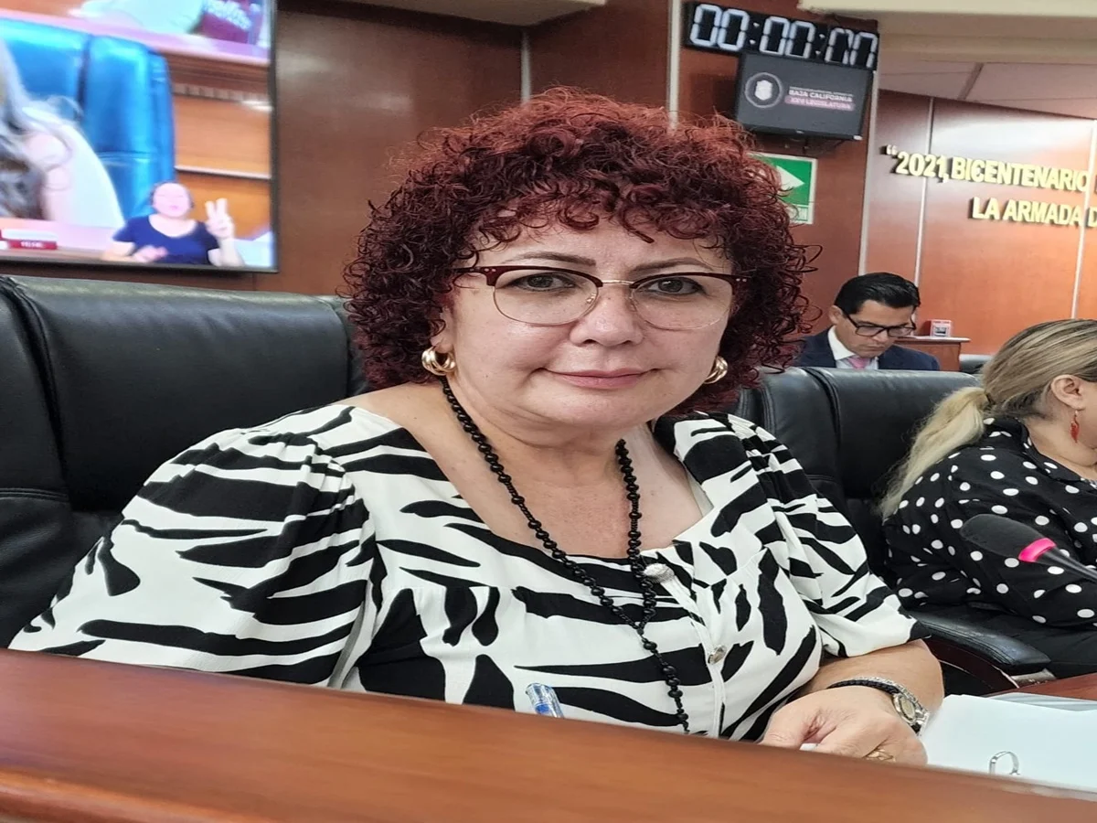 DIP. MAYTHÉ MÉNDEZ SOLICITA MEDIDAS URGENTES DE SEGURIDAD VIAL EN CURVA DEL KM 118 TIJUANA–MEXICALI